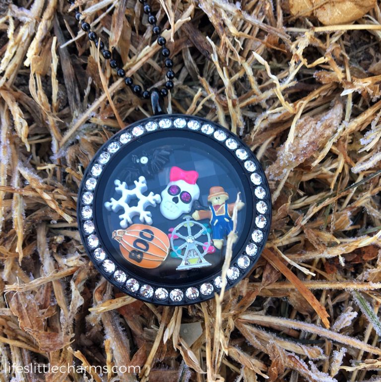 ValleyScare Origami Owl Locket