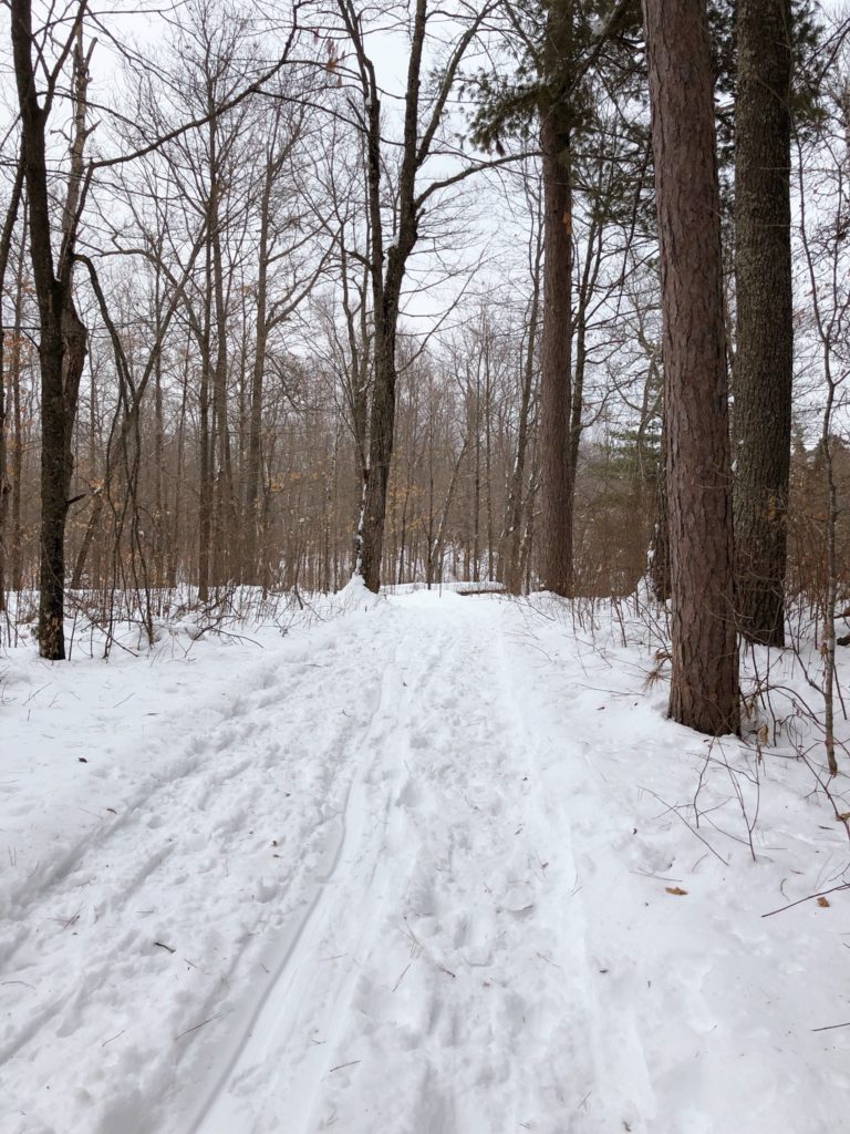 Snowy path in the woods